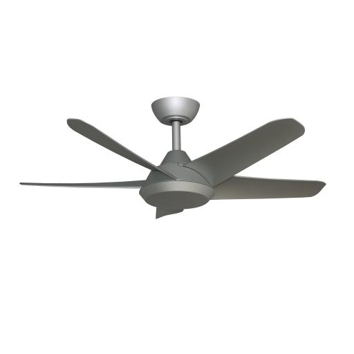 Stellar SILVER 40“ IMG_6266.jpg