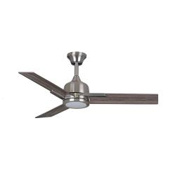 44 Darwin BN with Light smaller.jpg