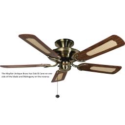 Mayfair AB oak cane.jpg